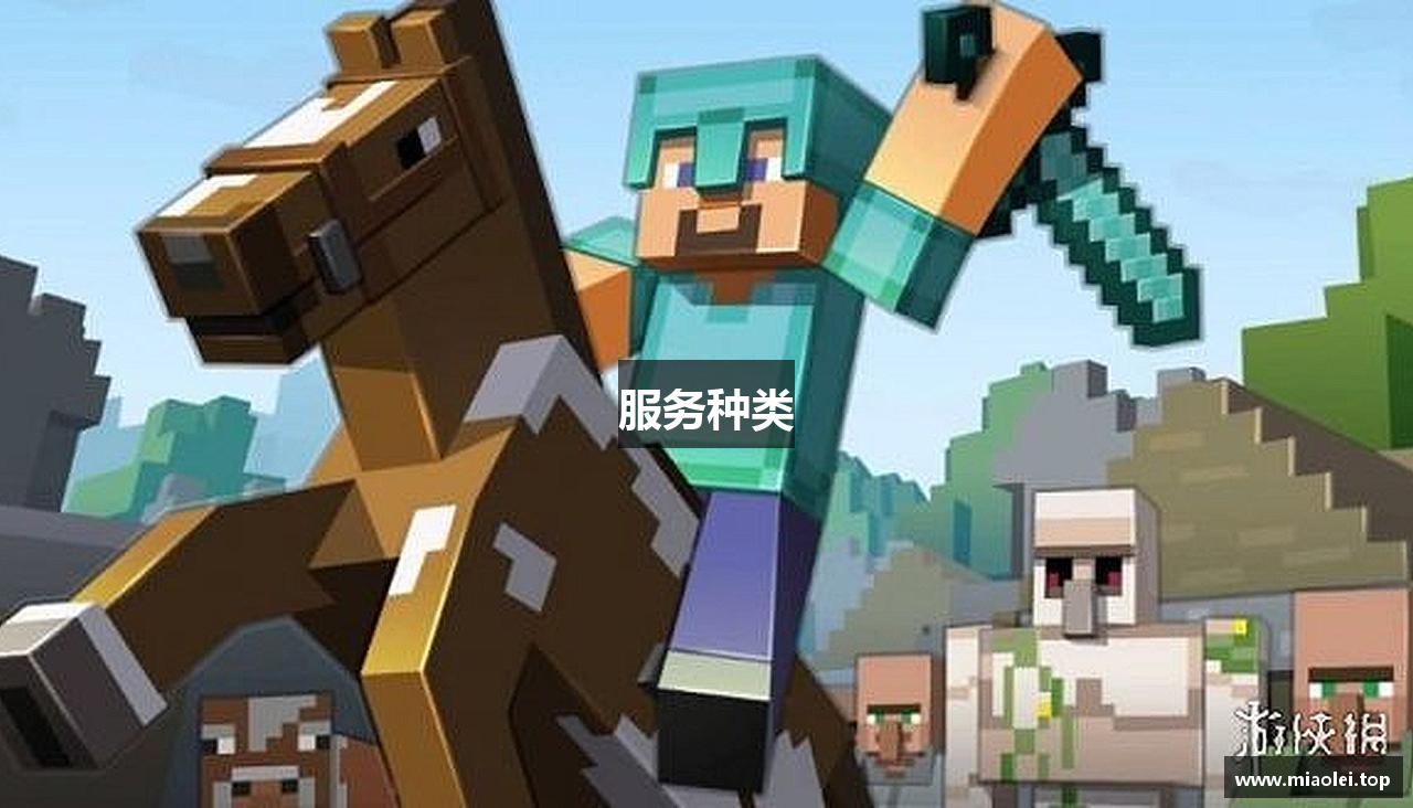 服务种类